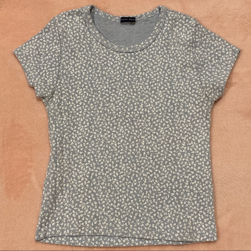 Brandy Melville Floral Top